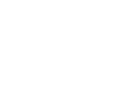 branch-icon-3-min-1